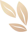 decor bottom